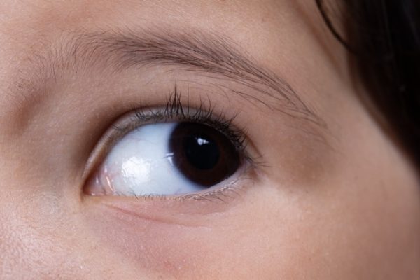 Macro view of child's eye